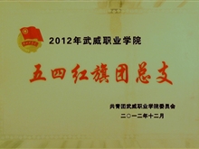 在2012年必发bf88唯一官网登录五四团总支