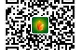 必发bf88唯一官网登录关于2019年单独招生测试成绩查询及录取结果的声明